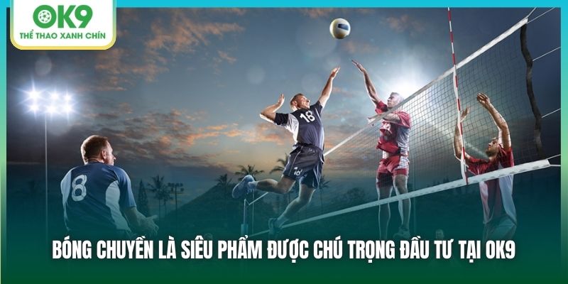 Bóng chuyền là siêu phẩm được chú trọng đầu tư tại OK9