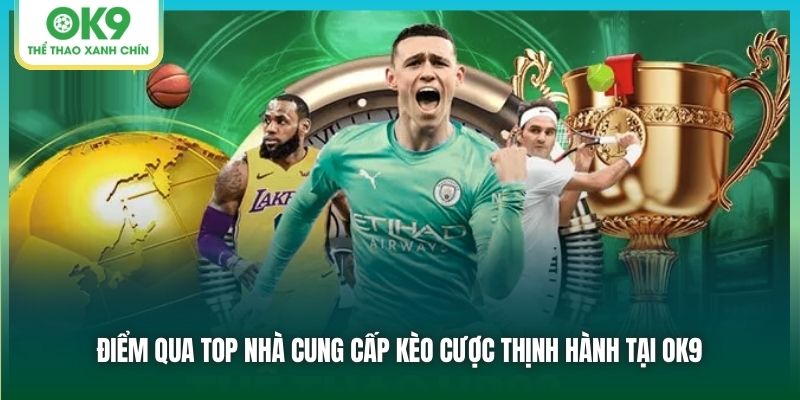 Điểm qua top nhà cung cấp kèo cược thịnh hành tại OK9