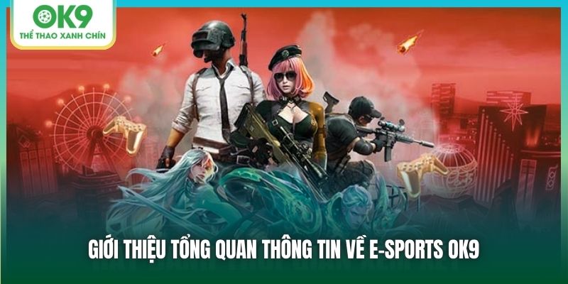 Giới thiệu tổng quan thông tin về E-sports OK9