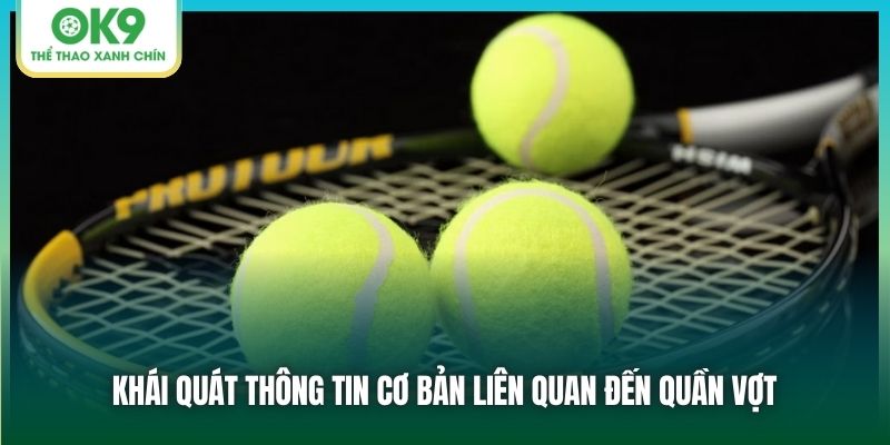 Khái quát thông tin cơ bản liên quan đến quần vợt