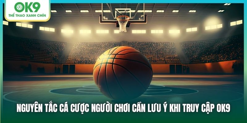 Nguyên tắc cá cược người chơi cần lưu ý khi truy cập OK9